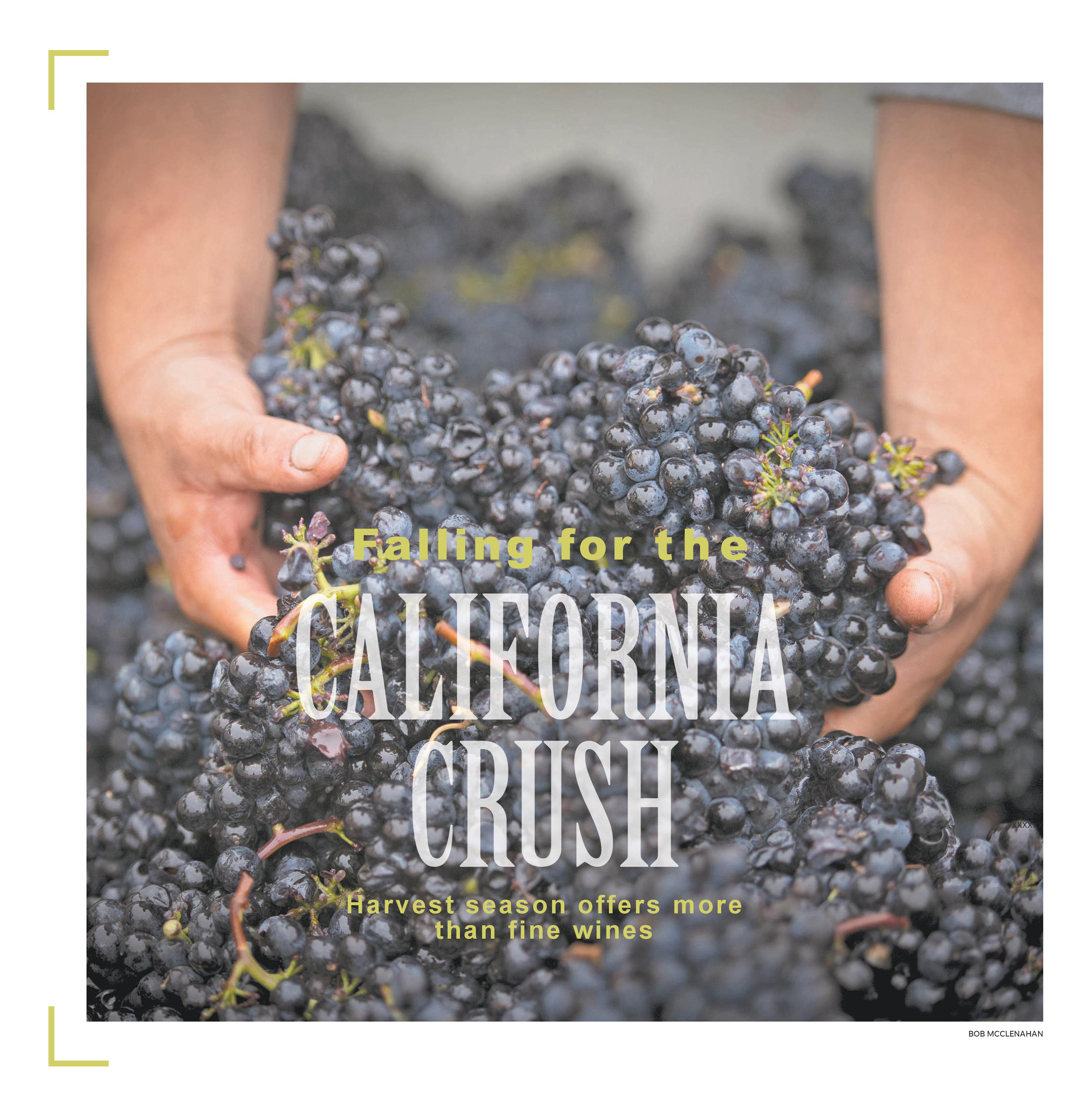 California Harvest-page-001